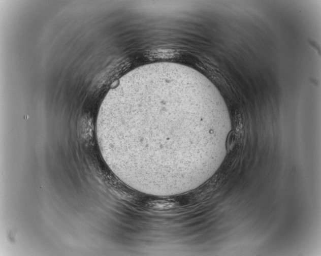 X0000102380555200808291403