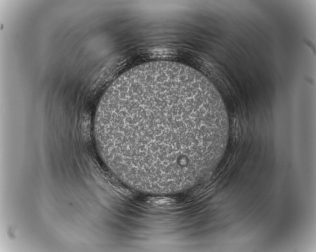 X0000102380557200808291403