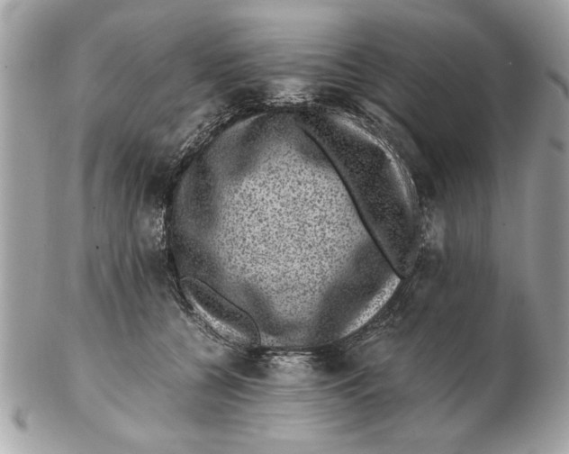 X0000102380560200808291403