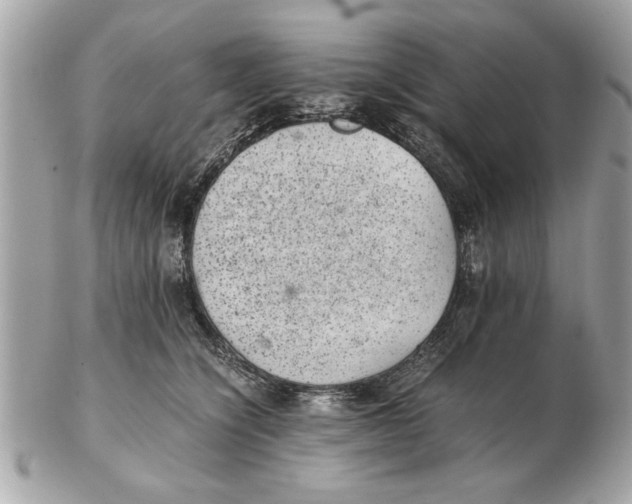 X0000102380564200808291403