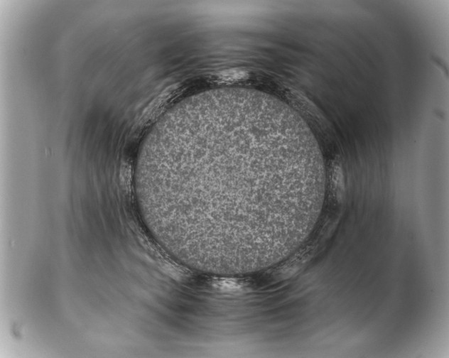 X0000102380565200808291404