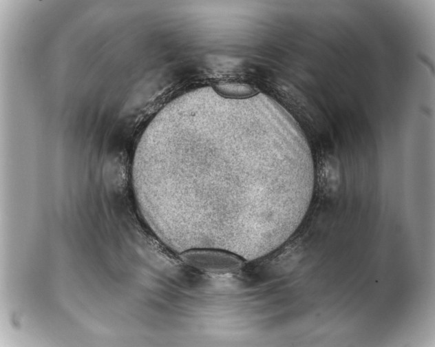 X0000102380566200808291404