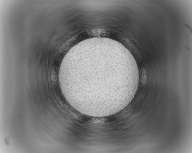 X0000102380569200808291404