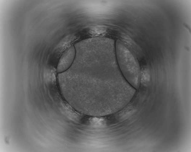 X0000102380570200808291404