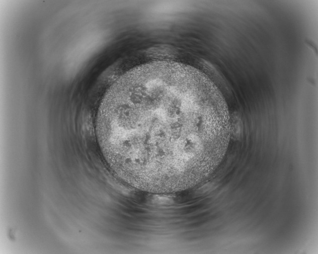 X0000102380573200808291404