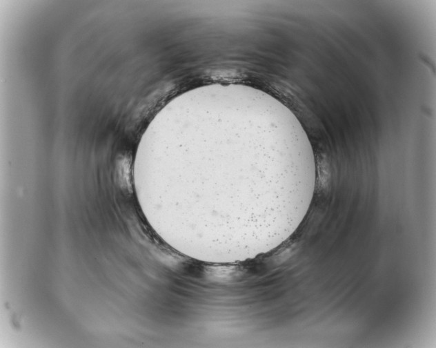 X0000102380575200808291404