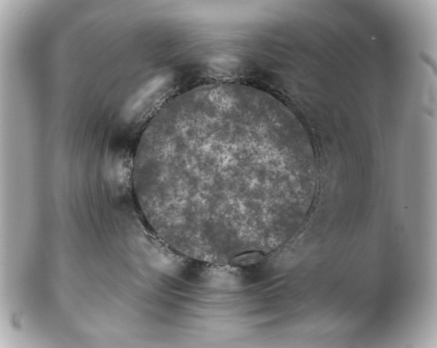 X0000102380576200808291404