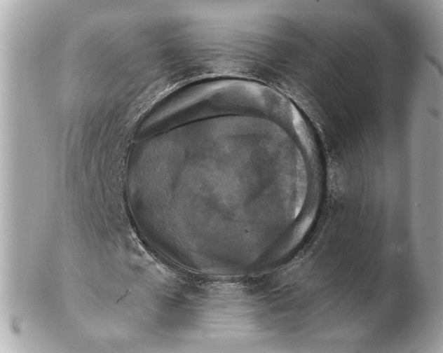 X0000102380577200808291403