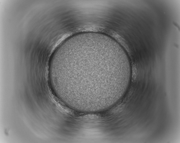 X0000102380578200808291403