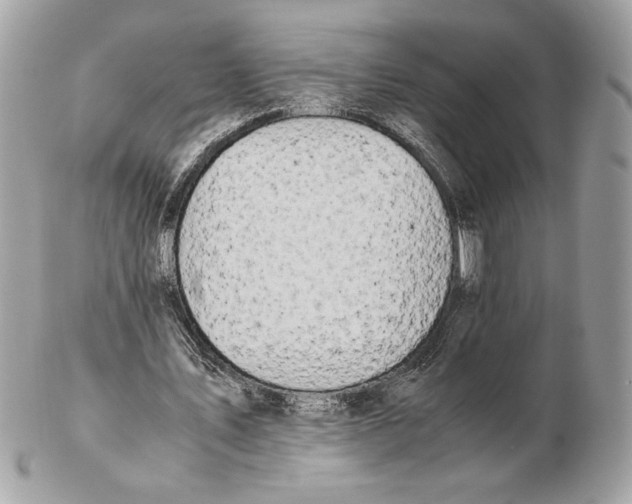 X0000102380579200808291403