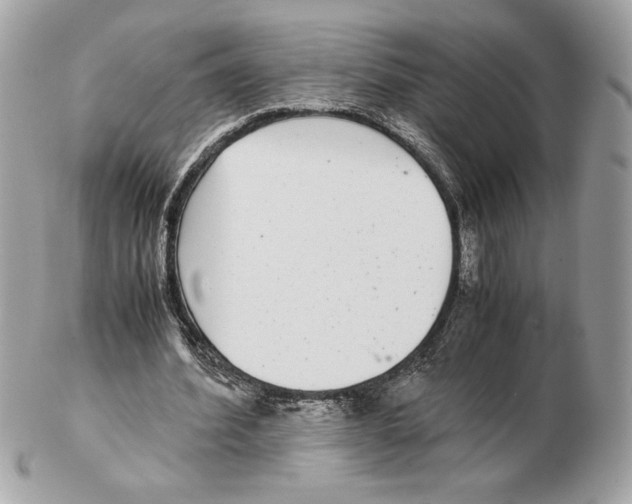 X0000102380580200808291403