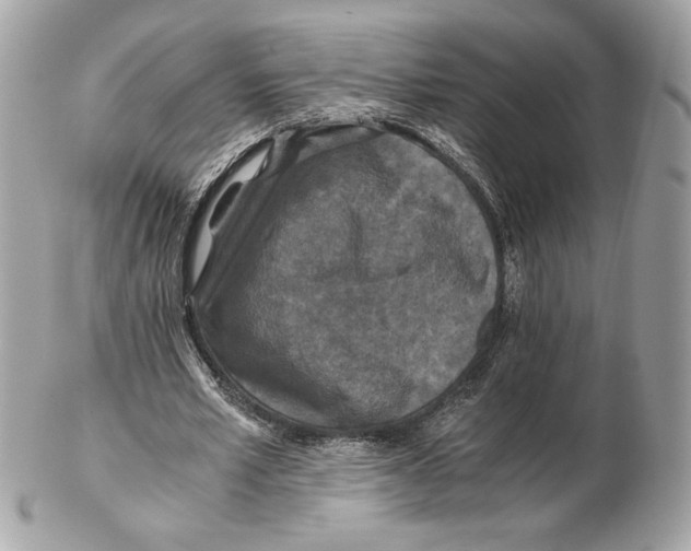 X0000102380581200808291403