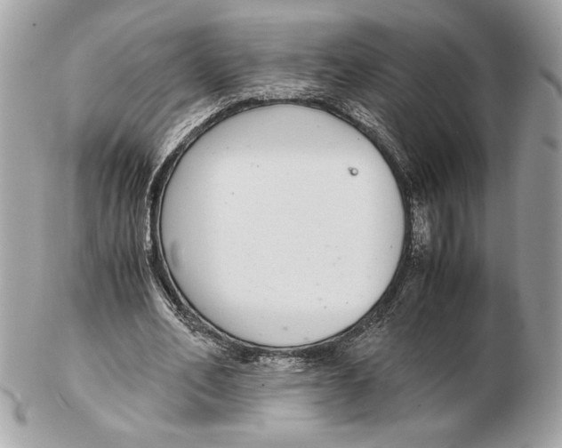 X0000102380582200808291403