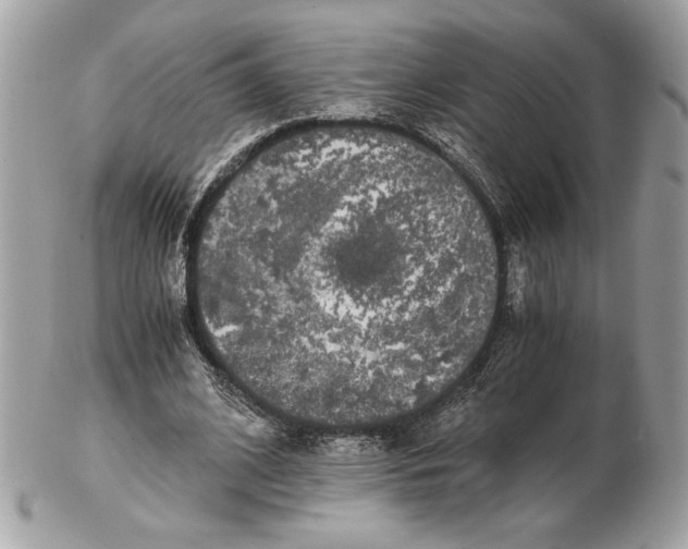 X0000102380584200808291403