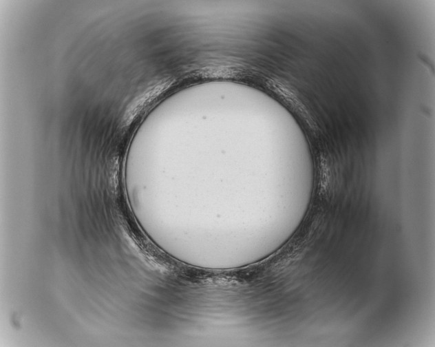 X0000102380586200808291403