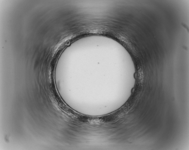 X0000102380587200808291403