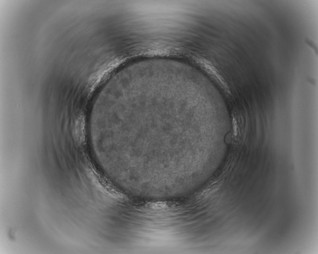 X0000102380588200808291403