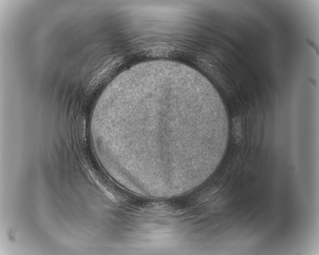 X0000102380589200808291403