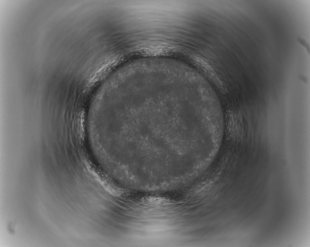 X0000102380590200808291403