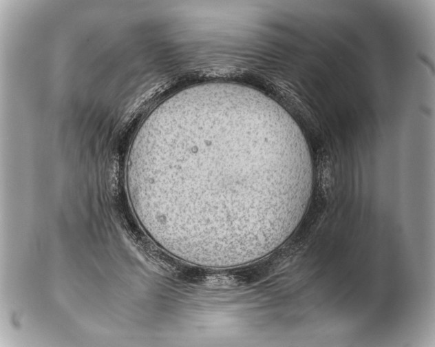 X0000102380591200808291403