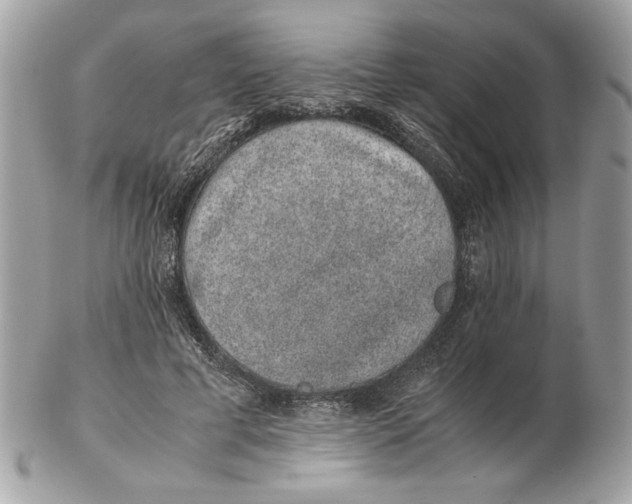 X0000102380593200808291403