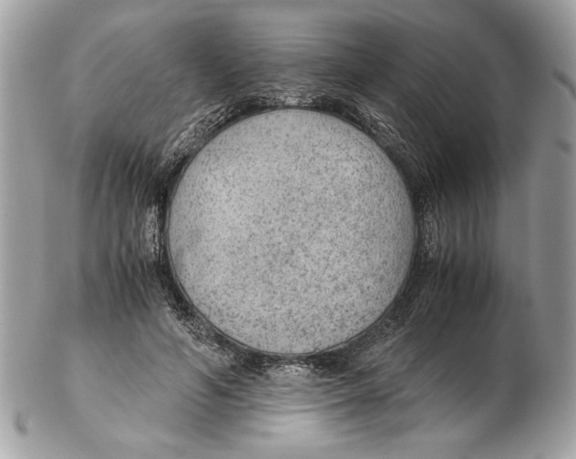 X0000102380594200808291403