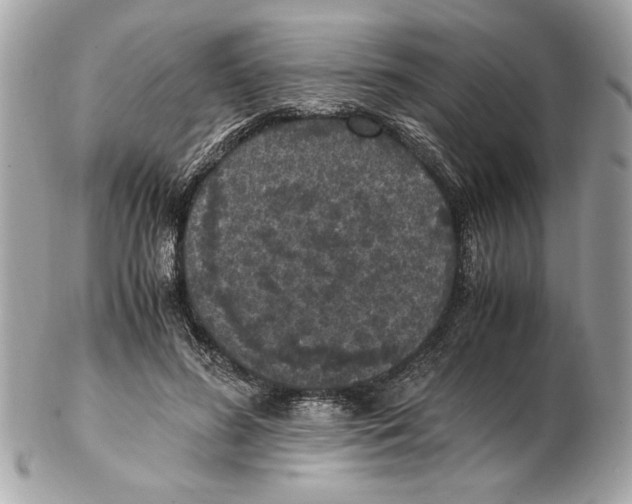 X0000102380596200808291403