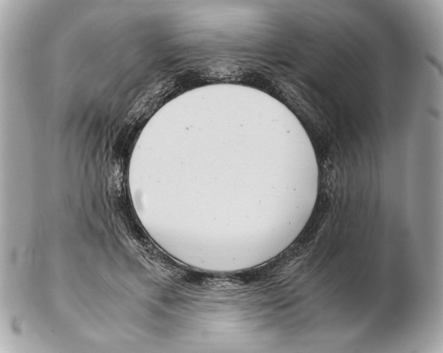 X0000102380597200808291403