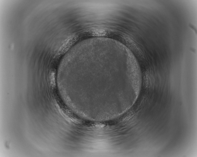 X0000102380598200808291403