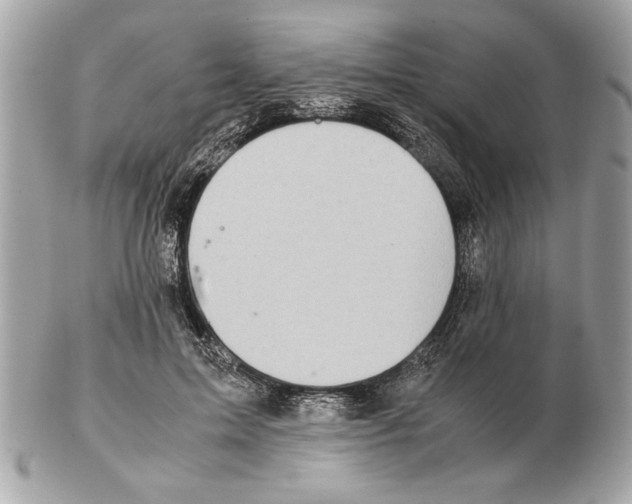 X0000102380599200808291403