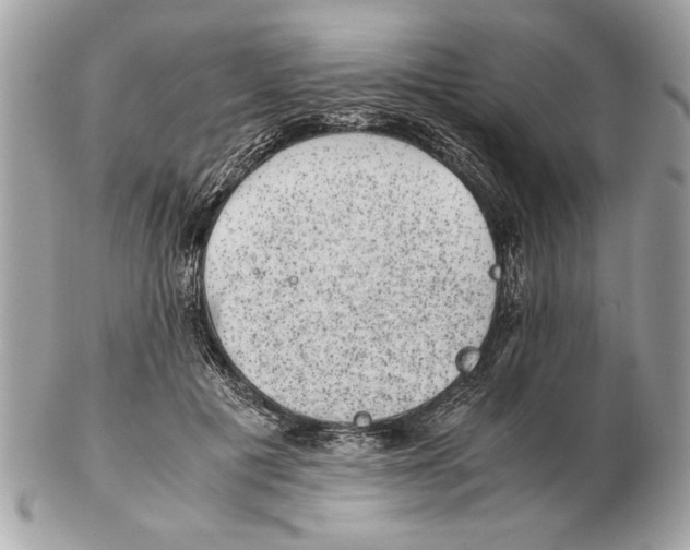 X0000102380601200808291403