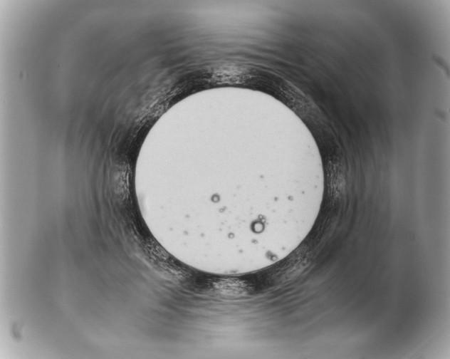 X0000102380603200808291403