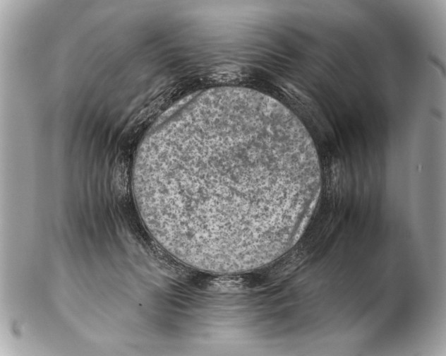 X0000102380606200808291403