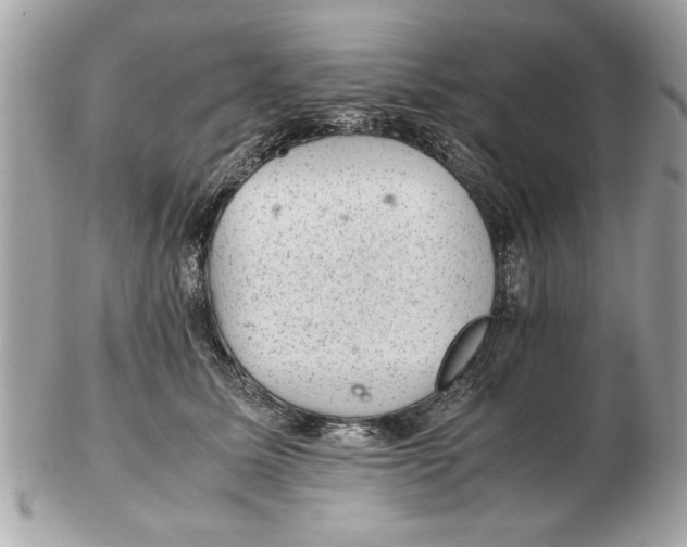 X0000102380611200808291402