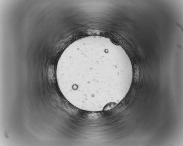 X0000102380616200808291402