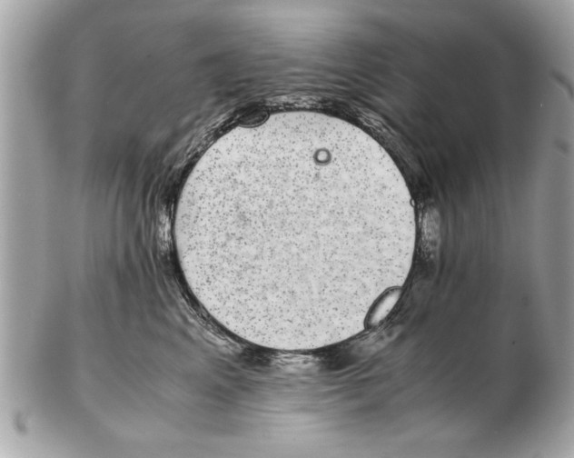 X0000102380617200808291402