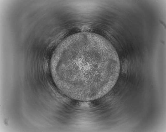 X0000102380618200808291402