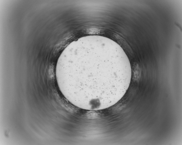 X0000102380620200808291402