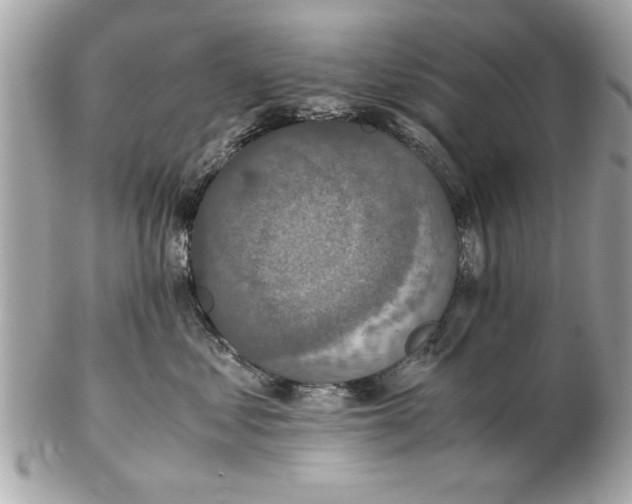 X0000102380621200808291402