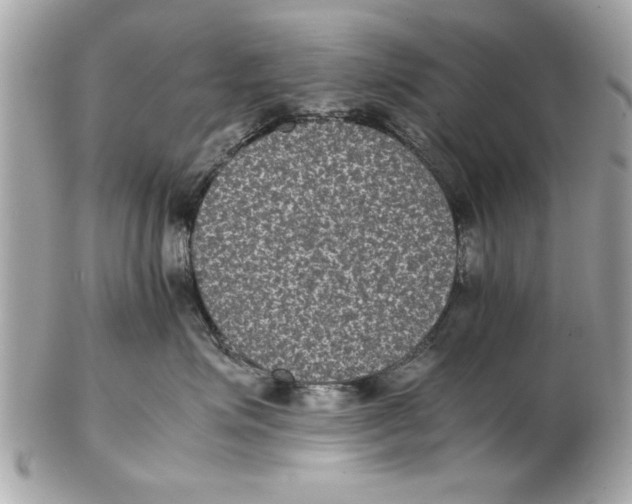 X0000102380623200808291402