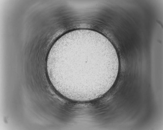 X0000102380625200808291402