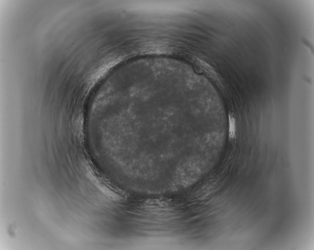 X0000102380627200808291402