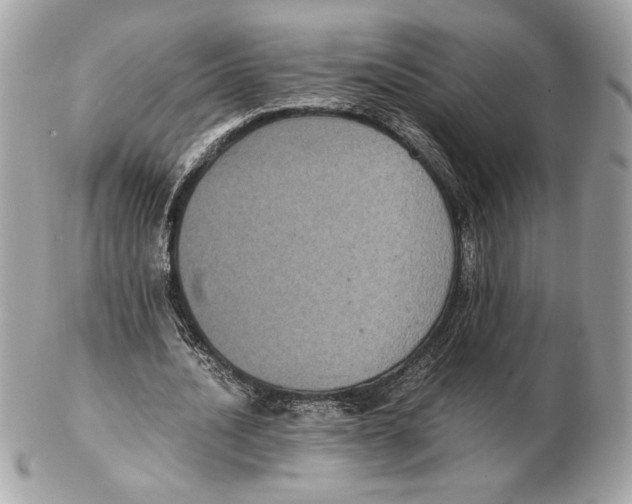 X0000102380628200808291402