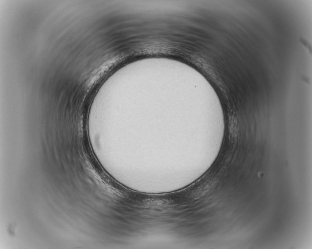 X0000102380629200808291402