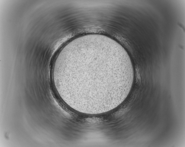 X0000102380630200808291402