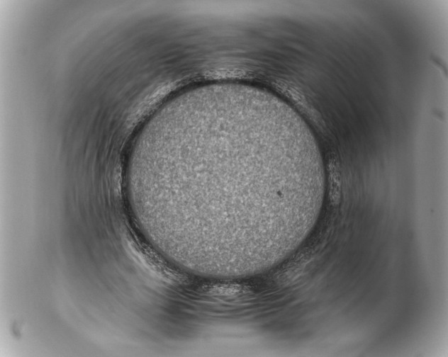 X0000102380631200808291402