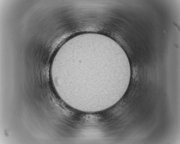 X0000102380632200808291402