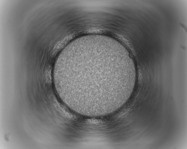 X0000102380633200808291402