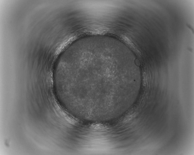 X0000102380634200808291402