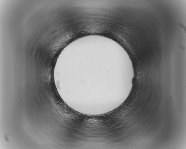 X0000102380635200808291402